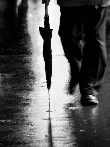 umbrella
