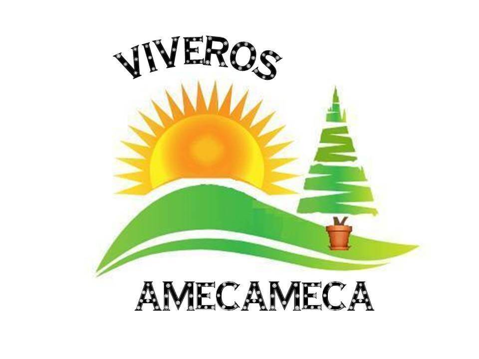 viveros-de-amecameca