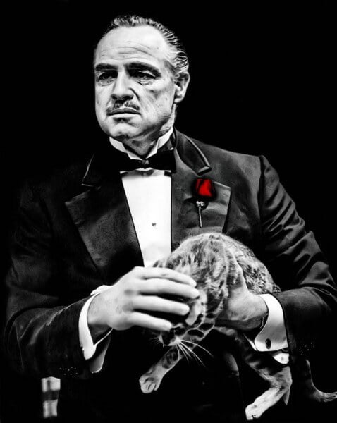 The_Godfather_IlPadrino_2_by_donvito62.png