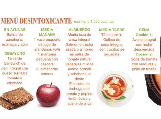 dieta desintoxicante 2015