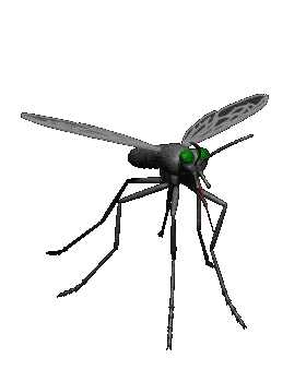 mosquito zika movimiento