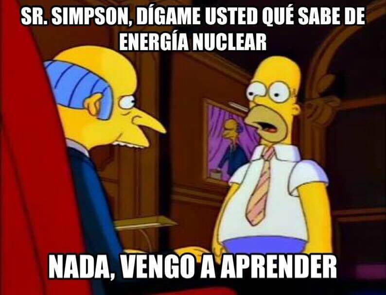 vengo a aprender videgaray simpson
